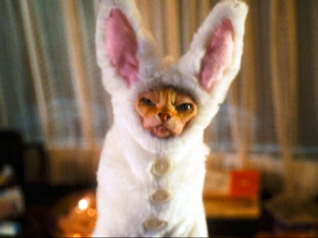 108577_trailer-cats-and-dogs-the-revenge-of-kitty-galore - bootleg betty