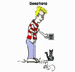 Donation_cup - bootleg betty
