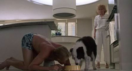 Nolte, mike the dog, midler