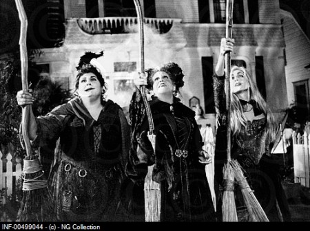 INF-00499044 - © - NG Collection