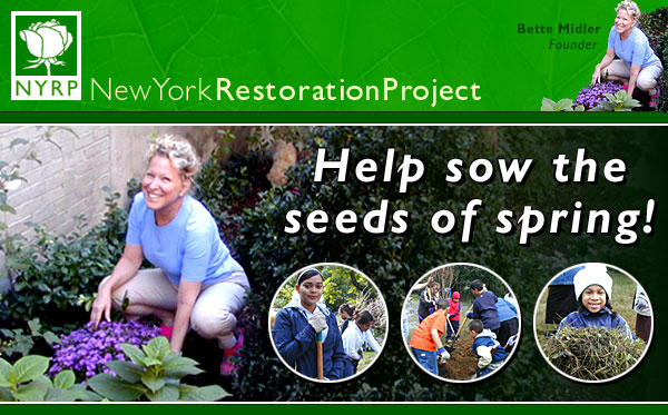 NYRP: Sow The Seeds Of Spring!